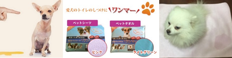 ���̃g�C�������p�y�b�g�V�[�c�̃����}�[���T�C�g